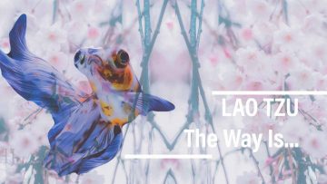 b771977ad142444693478c3b7942e446-1080×675