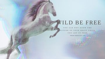 Wild and free 2